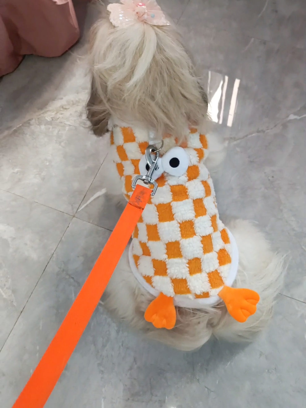 Ang cute 😍 #petclothes #dogclothes #shihtzuclothes 