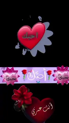#احبك🌹❤️🌹 