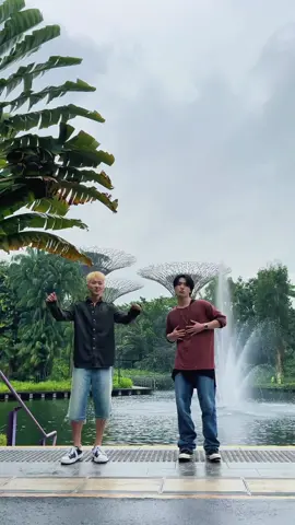 @SEVENTEEN right here in #VisitSingapore!  Catch HOSHI and feat.dino as they make @Gardens by the Bay their dance floor. 🪩🐯🦖 Who’s joining them? #MadeInSingapore #SEVENTEEN #세븐틴 #PassionMadePossible #싱가포르 #싱가포르여행 