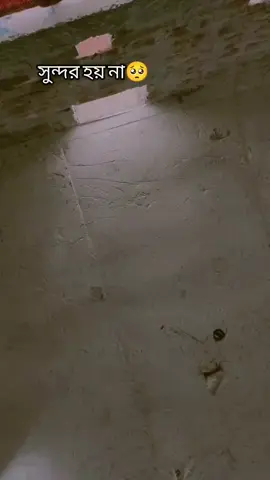 #সুন্দর হয় নাই 😩🥺# #foryou #fyp #trending 