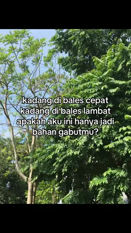 #galaubrutal 