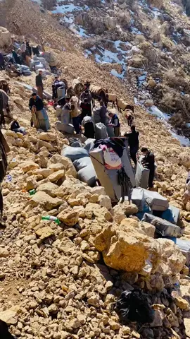 #کۆڵبەرەکان ❤️