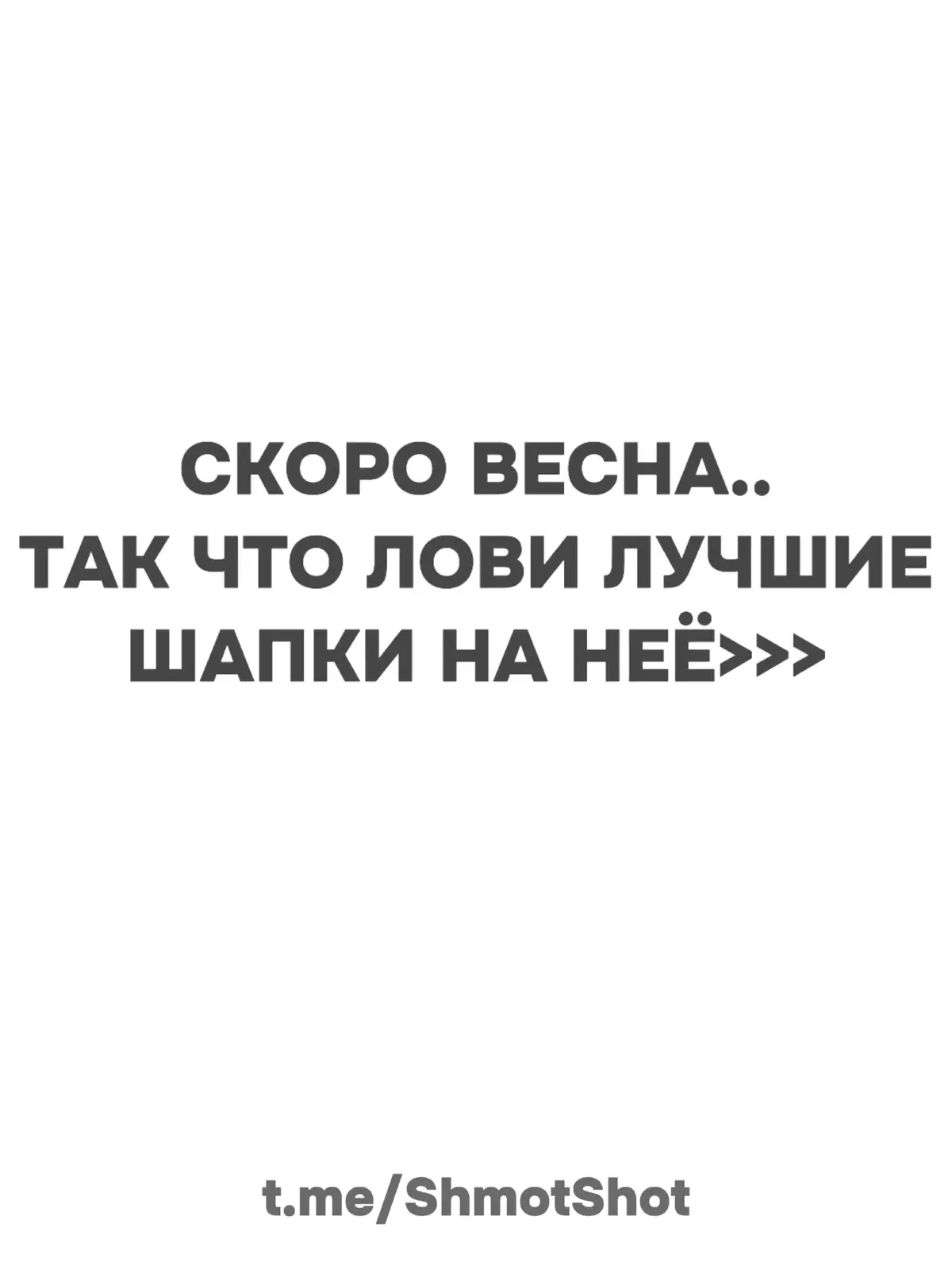 За заказом переходи по ссылке в шапке профиля 🤍 ждем тебя бро #шапки #весна #подборка #🎰 