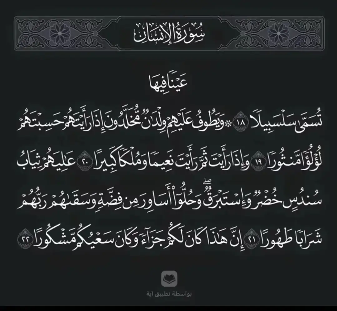 راحة نفسية لا تفوتها 🌸🍂#تجويد_القرآن_الكريم #راحة_نفسية #اكتب_شيء_تؤجر_عليه🌿🕊 #عينا_فيها_تسمى_سلسبيلا ##قرآن_كريم 