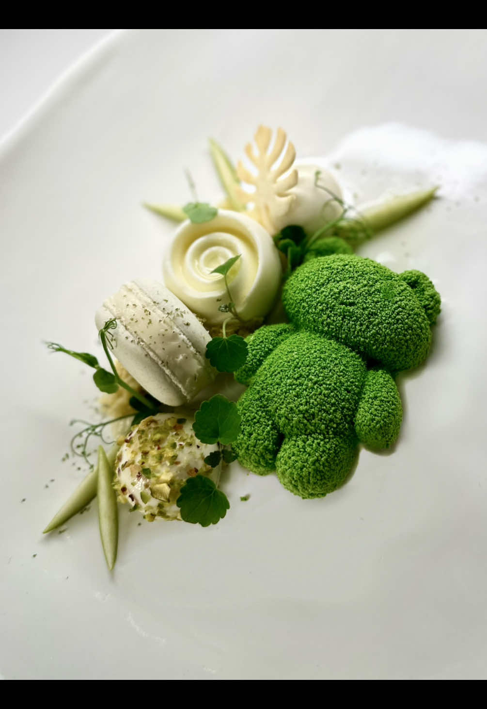 Teddy Bear Un incontro armonioso tra la freschezza agrumata dello yuzu, le note erbacee del tè matcha e la croccante acidità della mela verde. Un gioco di forme e texture, impreziosito dalla tenerezza dell'orsetto, celebra un equilibrio perfetto di sapori e delicatezza. #foodart #fooddesign #fooddesigner #theartofplating #plateddessert #plateddesserts #foodphotography #gourmetfood #pastrychef #gourmandise #michelinguide #dolcemente_milla #dessertalassiette #impiattamento #dessertlover #desserttime #desserts #pastryarts #pastryartsmag