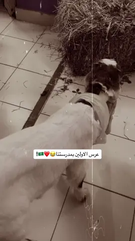 فعاليات يوم التاسيس🇸🇦♥️#اكسبلورexplore #pov #يوم_التأسيس #السعودية🇸🇦 #القصيم_بريده_عنيزه_الرس_البكيرية #زمانيات #oldfilm 