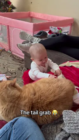 A cat’s paw brings tears to a kid’s eyes 😭😭#usa🇺🇸 #cat #catsoftiktok #funny #tiktok 