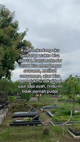 #rindu #ayah #fyp #fyp #fypp #fypシ゚ #foryou #foryoupage #foryourpage 