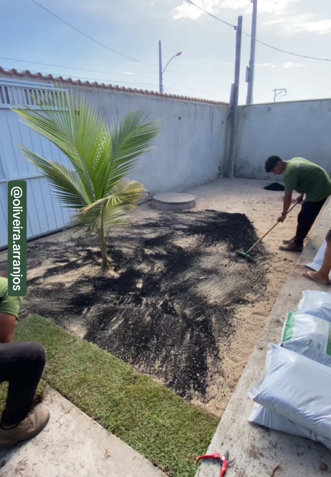 Plantio de grama esmeralda, plantio de maneira correta na areia e com condicionar de solo.  Saiba como plantar de maneira correta a grama esmeralda.  #landscape #gardening #paisagismo #garden #timelapse #gras  {plantio de grama esmeralda, plantio, grama na areia lavada, como plantar grama}