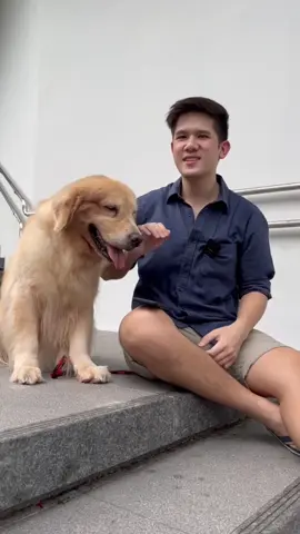 📚✏️ Teaching by day, dog dad 24/7 🐶💛  Follow a day in the life of Ryan & his emotional support pup, Hugo! 🏫🐾 #tiktoksg #fyp #xyzbca #sgtuition #generalpaper #economics #chemistry #physics #biology #maths    H2 econs  H2 bio  H2 chem  H2 maths  H2 physics