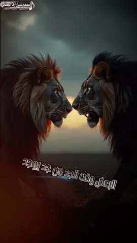 #جزاء29 #تصميم_فيديوهات🎶🎤 #مجرد_ذووقツ🖤🎼😴 #يسعدلي__اوقاتڪۘم #يسعدلي__اوقاتڪۘم_حبايبي♥️🕊🙋‍ 