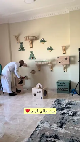 #for #viral #قطط 