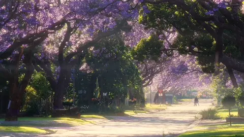 Mong một ngày không xa, ta sẽ là xuân, hạ, thu, đông của một người.. #xuhuong #xuhuongtiktok #fypシ #flowers #nhacchill #peace #fypシ #viral 