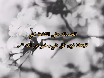 الحمدلله على كل شيء ✨🖤🌿 . . . . . . . #تفاعلكم_حبايب_محضوره #اللهم_صل_على_محمد_وآل_محمد🙏💖 #ننوشه #يارب❤️ #fvo 