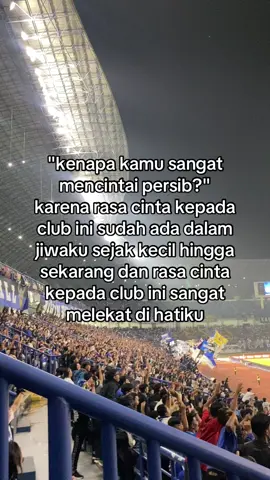 💙🫶🏻#persibbandung #fypシ゚ 