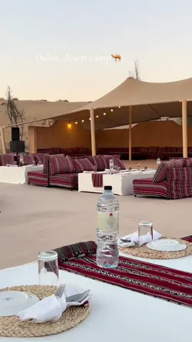 Nomad camp in the middle of the desert 🐪🏜️ Such a relaxing vibe with lots of entertainment , great food and amazing vibes 🫶 Highly recommend 10/10 @caravanserai dubai #desert #dubaicamp #caravanserai #nomad #nomadliving #corporatelife #desertsafari #firedance #bellydance #قعدة #سهرات #سهرة  #جلسة #جلسة_شتوية #دبي_امارات #دبي_الامارات #اكسبلور #دبي_ابوظبي_العين ء#العين 