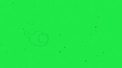 Green Screen _ Damage film effects _ old film grain overlay _ scratches