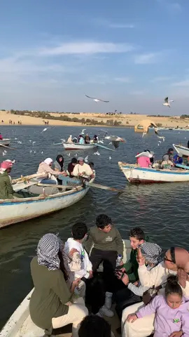 #الفيوم #وادي #الريان  #منظم #رحلات #الفيوم#01155488378