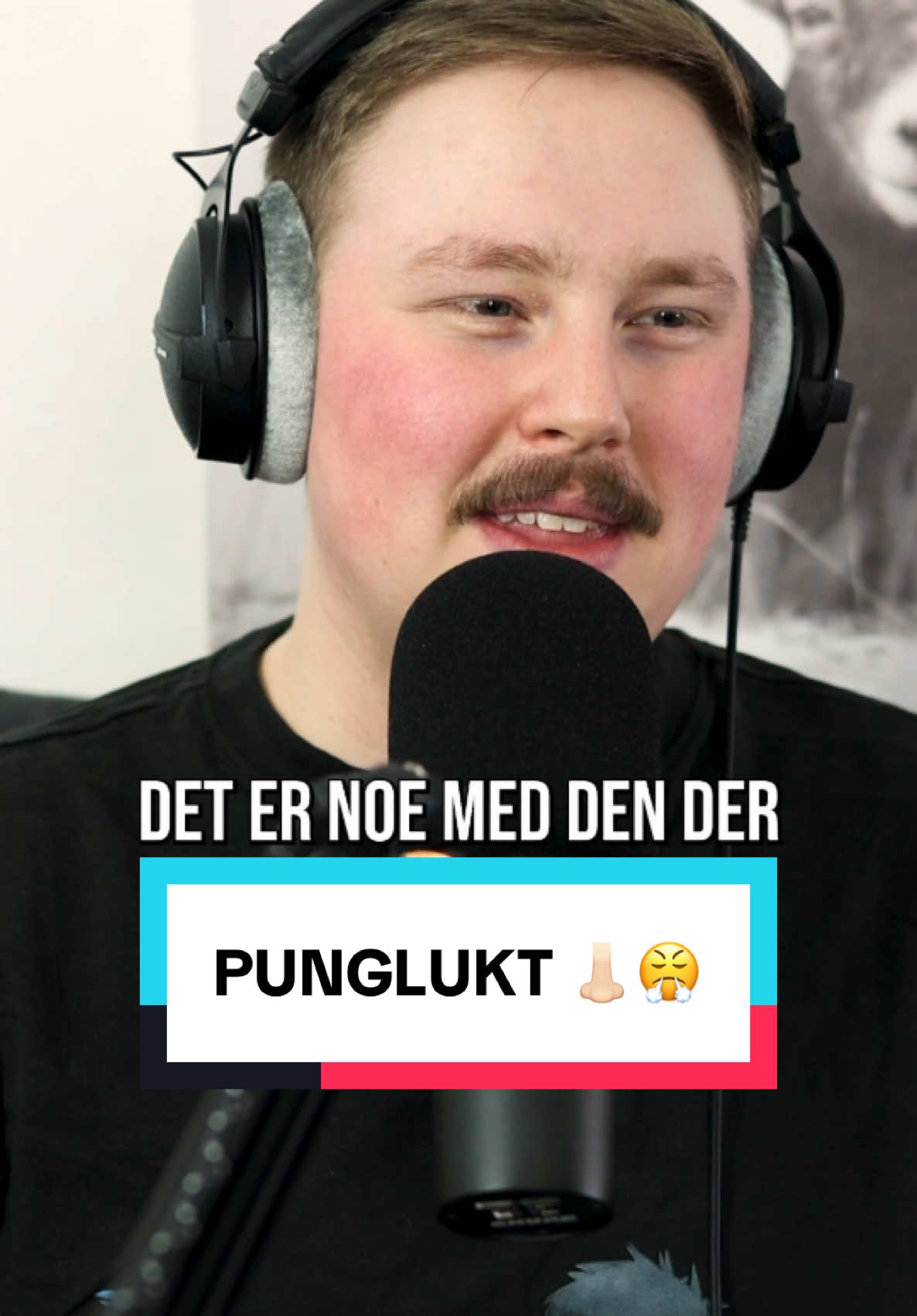 Dijonsennep altså 😍 #idioti #idiotipod #idiotipodcast #sennep #patrickgreve #davidmagnussen #podkast #podcast #fyp @Patrick Greve @davidmagnussen1 