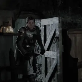 الملك فالشمال ❄️🔥 #explore #روب_ستارك #ستارك #لانيستر #جيمي_لانستر #fyp 