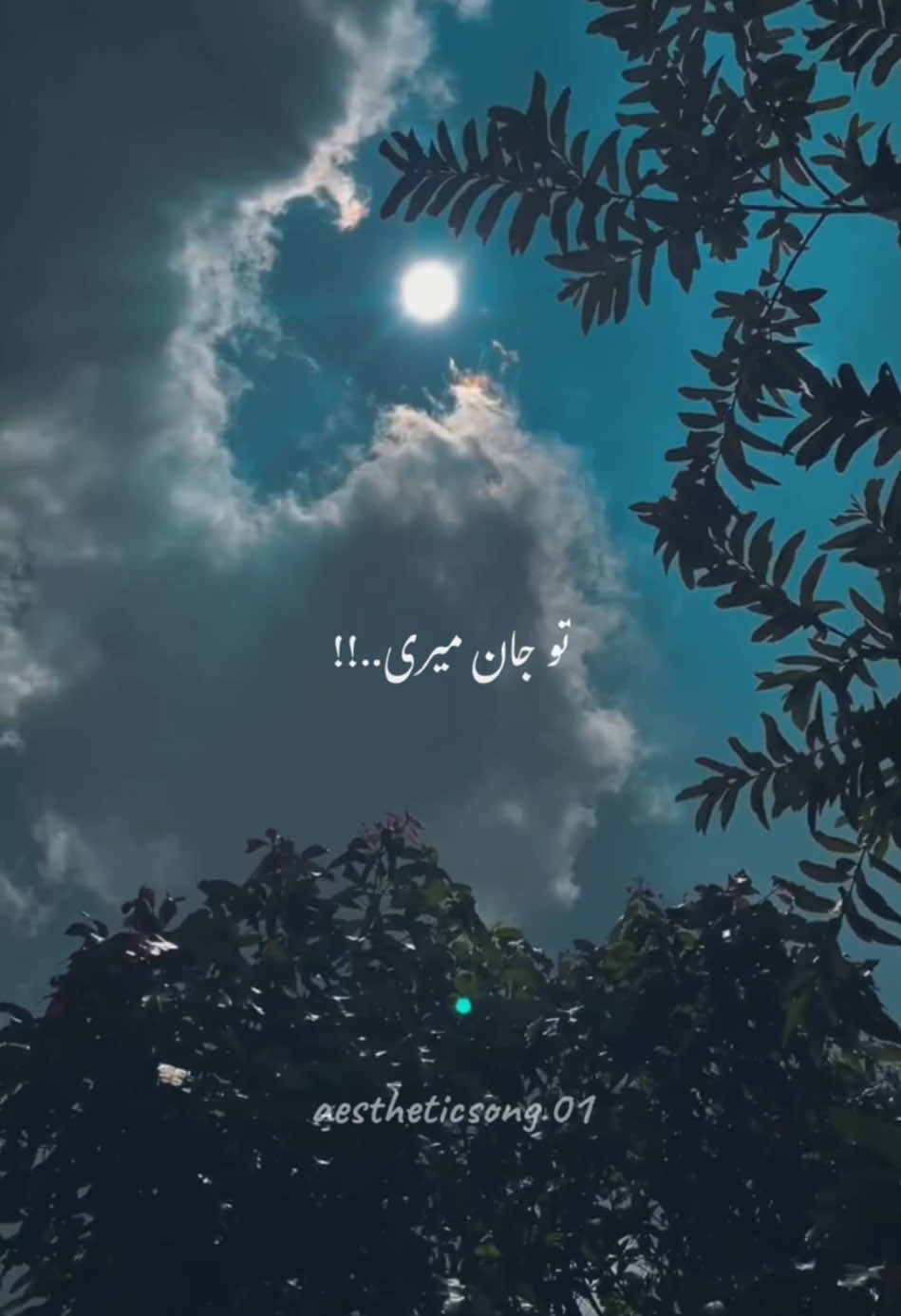 Tu Jan mare 🌈🍁💯 #song #aestheticsound #foryoupage❤️❤️ #tranding #viral_video #fyppage #🎧 #explore 