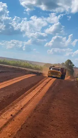 Aí o Fordão na lida bruta! Só no ronco do motorzão! #Ford #caminhao #colheita #transporte #agrobatidao 