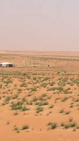#كسبلور 