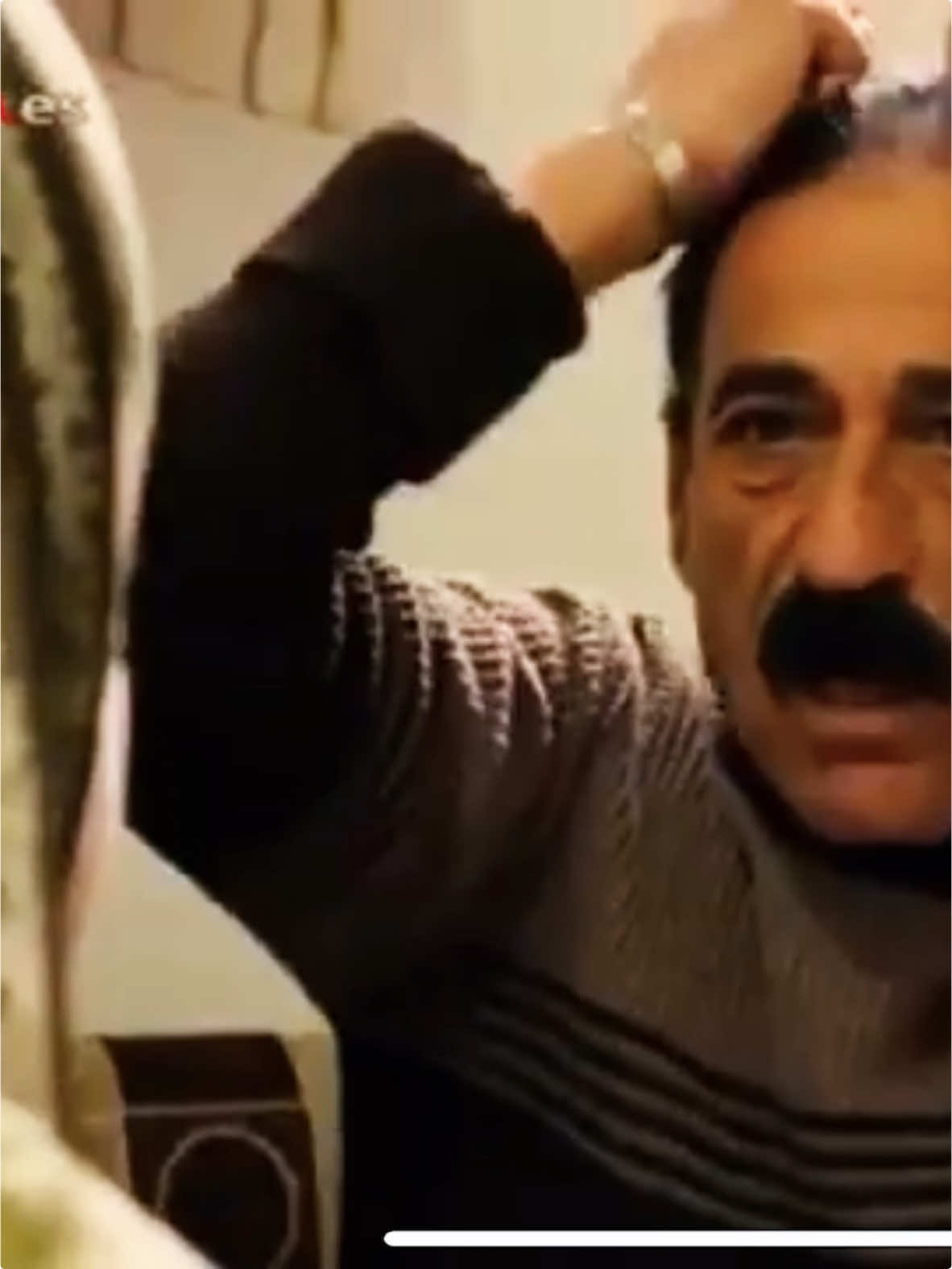 هيف هيفا بسيكايه😹😺 #kurd #hesekê #qamishlo #efrin #kurdistan #derik #kobane #amude 