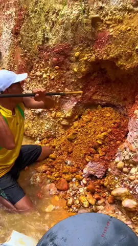 Looking for gold and panning for gold buried in river walls #mininggold #goldpaning #golddiscovery #viralvideo #goldhunter #gold #foryou #foryoupage 