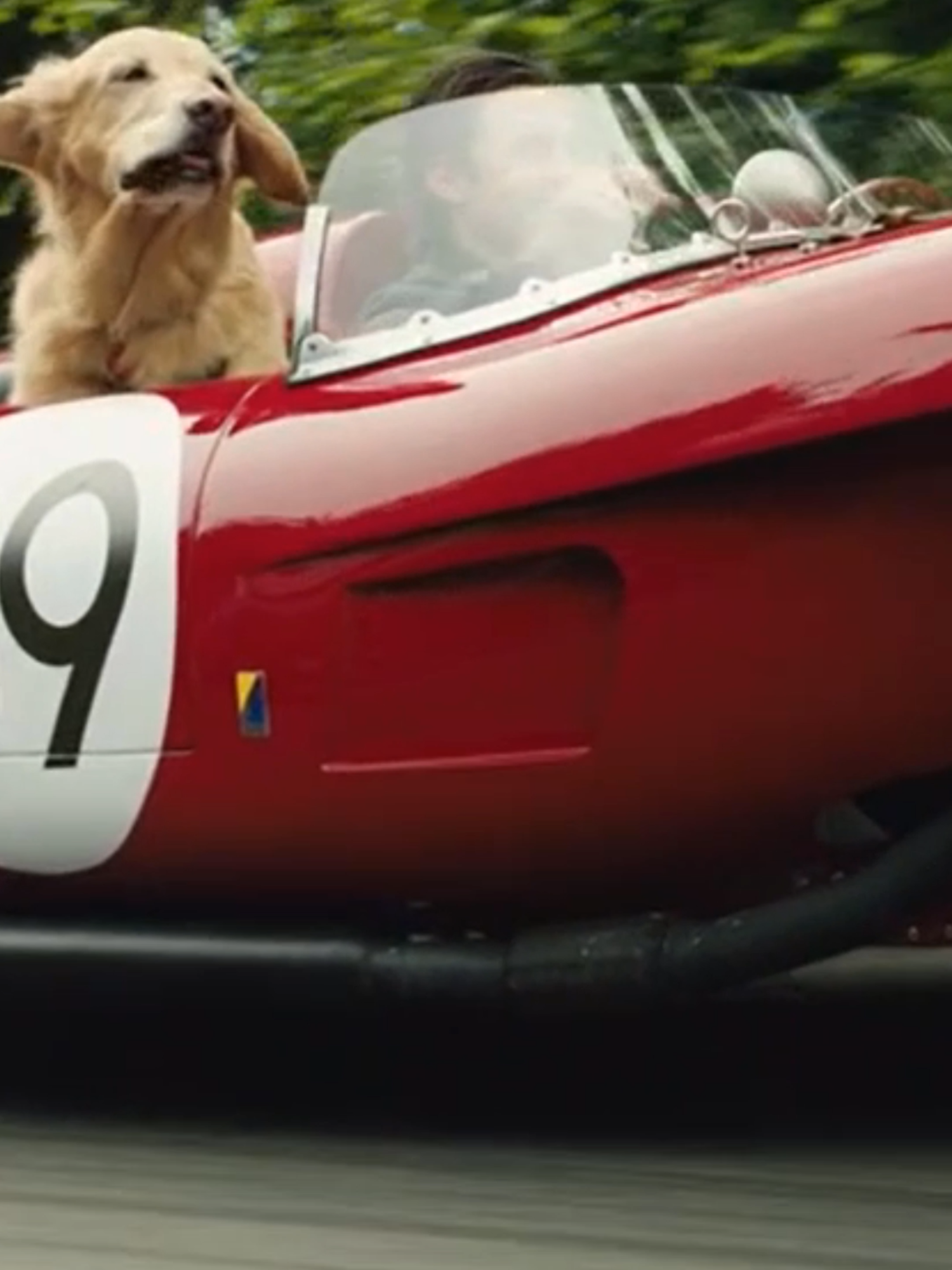 როგორ არ უნდა აგეტიროს ასეთ სცენებზე 🥺 #ქართულად #Kinogo #moviescene #movieclip #movie #რასვუყურო #სადვუყურო #აპლიკაცია #ფორიუ #foryour #theartofracingintherain #წვიმისქვეშრბოლისხელოვნება