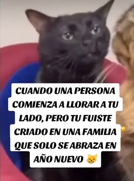 #paratiiiiiiiiiiiiiiiiiiiiiiiiiiiiiii 
