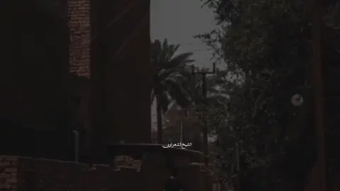 #الشيخ_الشعراوي♥️ 