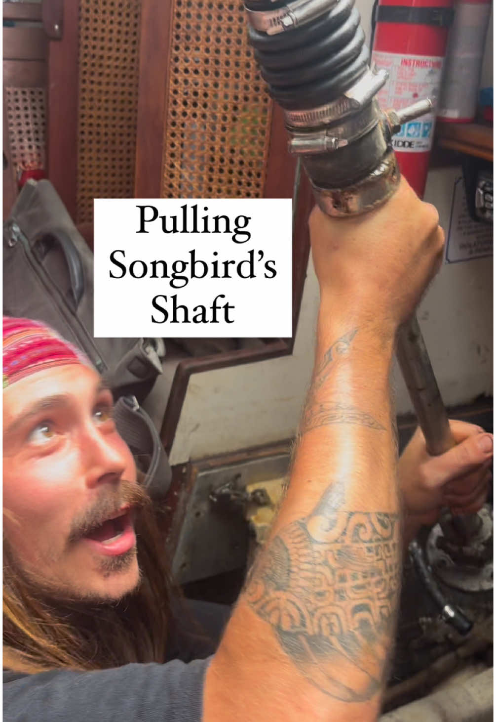 Slow and steady progress is the name of the game in the yard 🙃  #fyp #foryoupage 