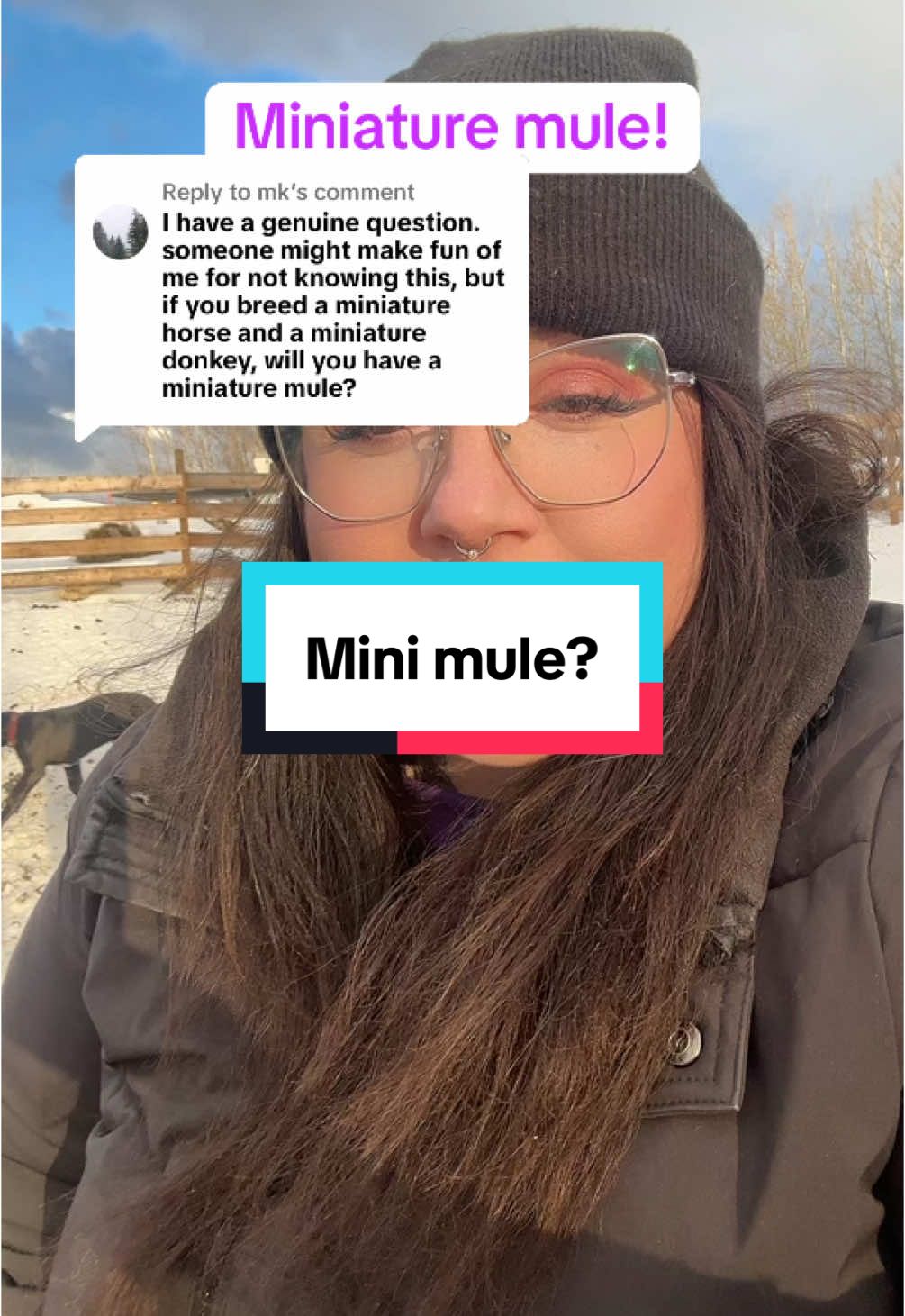 Replying to @mk no dumb questions here!