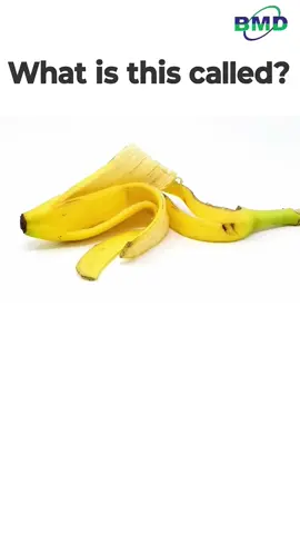 What is this called #learnenglish #dailyenglish #vocabulary #learn #fyp #fypシ #TikTok #Viral #foryou #foryoupage #TiKTOKVIRAL#teacher #inglesonline #learnenglishonline #easyenglish #englishwords #englishspeaking #speakingenglish #vocab #englishidiomss #wordofthedaye #cursodeingles #dicasdeingles #speaking #study #learningisfun #englishisfun #spokenenglish #languagelearning #pronunciation #teachingenglish #learninglanguages #bhfyp #englishlearners #inglese #phrasalverbs #ieltspreparation #learningenglishonline #englishforkids #grammar #englishgrammar #fyp #fypシ #TikTok #Viral #foryou #foryoupage #TiKTOKVIRAL#teacher #inglesonline #learnenglishonline #easyenglish #englishwords #englishspeaking #speakingenglish #vocab #englishidiomss #wordofthedaye #cursodeingles #dicasdeingles #speaking #study #learningisfun #englishisfun #spokenenglish #languagelearning #pronunciation #teachingenglish #learninglanguages #bhfyp #englishlearners #inglese #phrasalverbs #ieltspreparation #learningenglishonline #englishforkids #grammar #englishgrammar