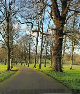 #pti #pti_zindabad🇵🇰♥️♥️♥️viraltikto #unfreezemyacount #unitedkingdom #on #pakistan #pakistanidrama #capcut_edit 