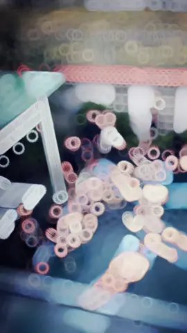 🥰🥰 #CapCut #43danang #nguhanhsondanang #hoahai #xhhhhhhhhhhhhhhhhhhhhhhh #fyp 