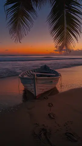 ‍   ‍   ‍    ‍