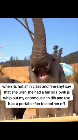 #fineshyt #fyp #class #relatable #funny #CapCut 