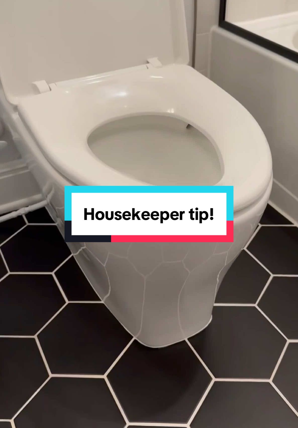 They are literally the perfect size to get into tight spaces. You get three in a pack so you can use them for different areas in your house. You can get them from @Scrub Daddy website! #clean #howto #trending #bathroom #viral #toilet 