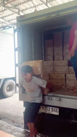 Bongkaran Minyak Kuwali 1liter ready stock buanyakkk keep dari sekarang sebelum kehabisan🤩🤩  #minyakgoreng#minyakgorengkuwali#kuwali1liter#minyakgoreng1liter#MinyakGorengmurah#alamsarikedelai#tokoalamsarikedelai