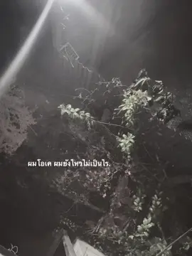 #เธรด #ยืมลงสตอรี่ได้ #ย่าปิดการมองเห็น 