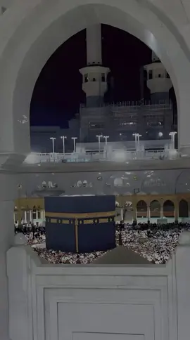 🤍🌷 #متابعة_اعجاب_اعادة_نشر_كلمة_حسنة_اجر_لي_ولكم 