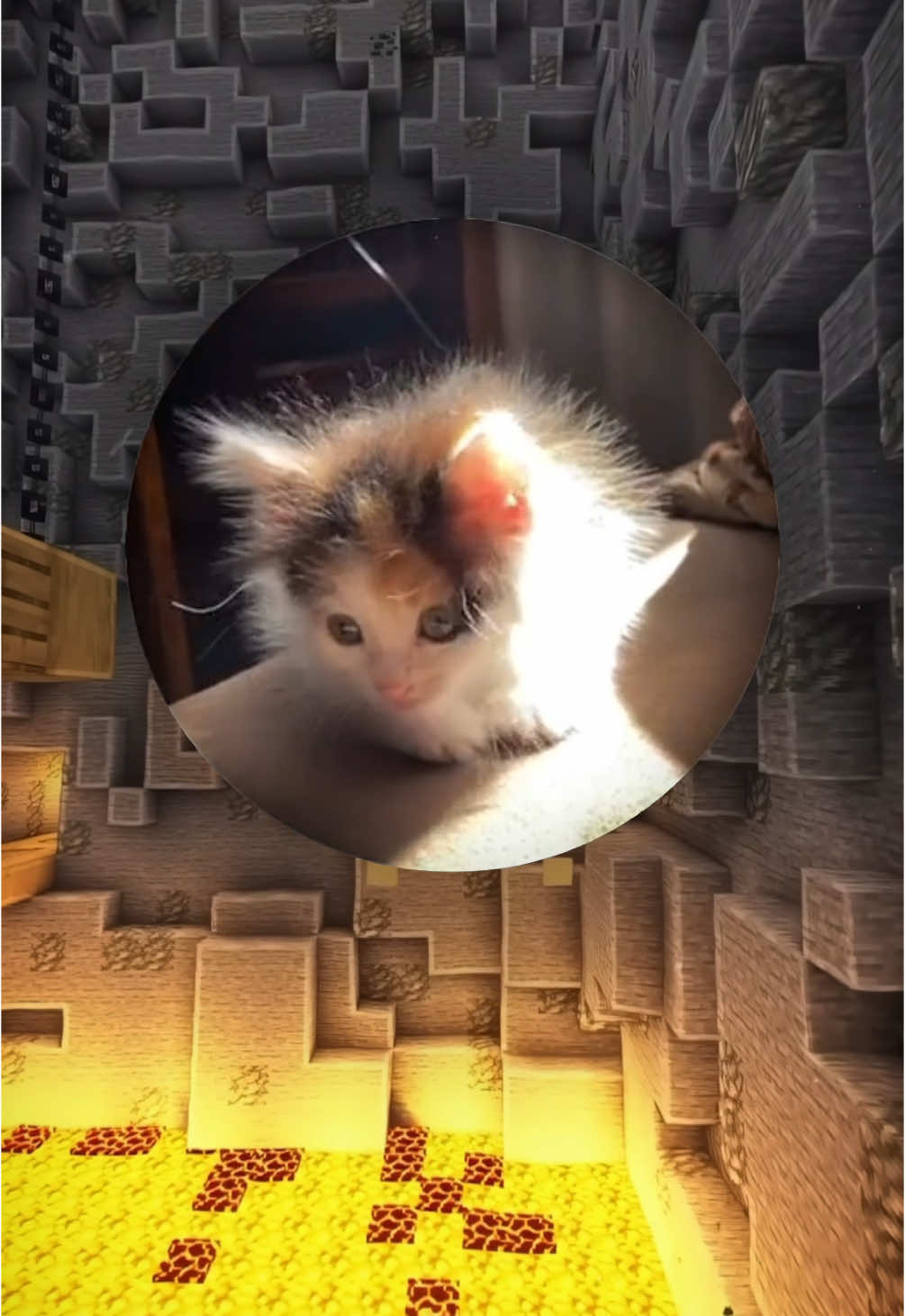 #мем #кружочек 