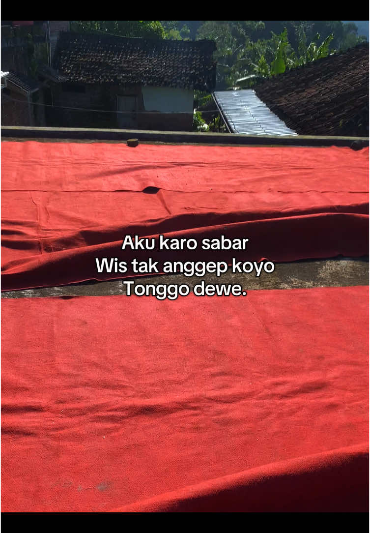 Lak yo ngono to barr🗿 #fyp #fypシ゚ #jowostory #galaubrutal #jawapride #kata #guyon #lucu #story #jowostory #fypage #4u 