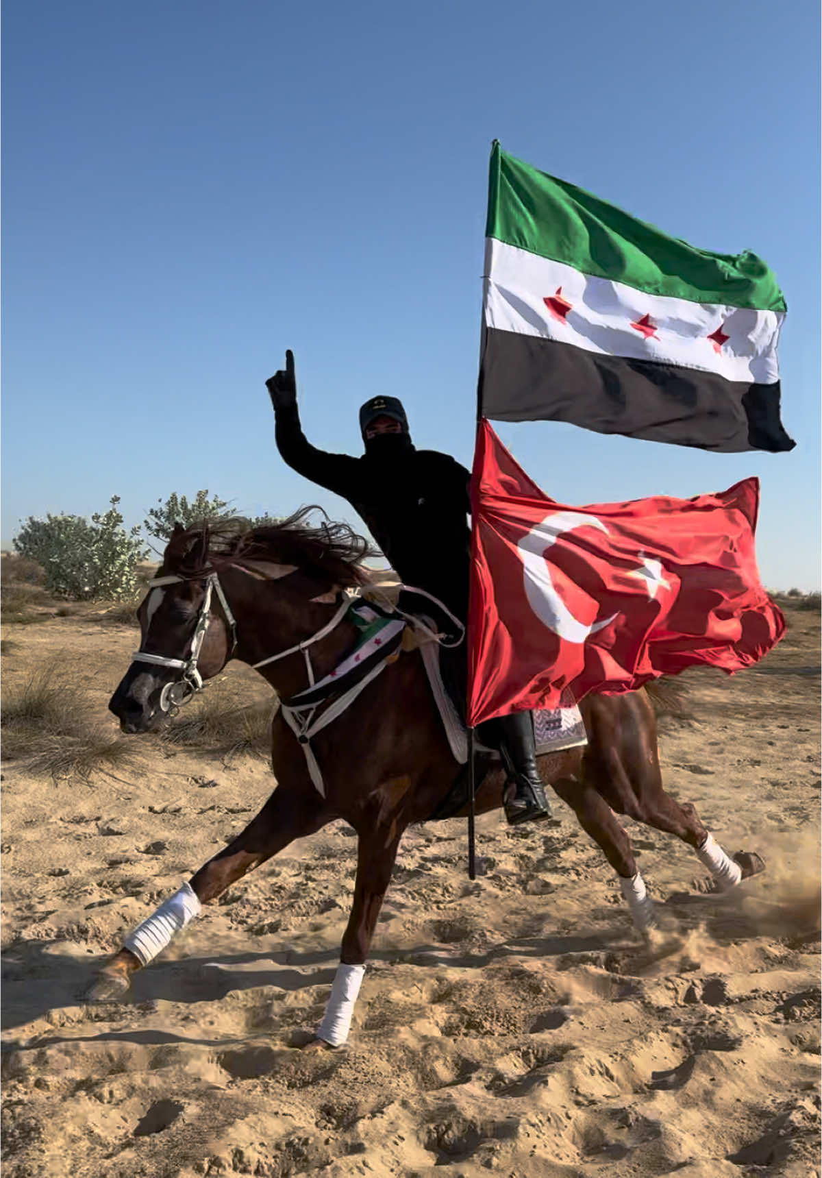 لا غالب الا الله🇹🇷✌️#انتصار_الثورة_السورية #سوري_ولي_الفخر #سوريا #احرار_سوريا #اكسبلور_explore #اكسبلور #ترندات_تيك_توك #ترند #türkiye #اوردغان #خيل #خيل_عربي #خيول_عربية #الامارات_العربية_المتحده🇦🇪 #دبي #خيل_وخياله🐎 