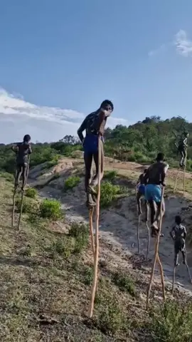 Teradisi Unik Suku Bana #faktadunia #SiapaSangka #faktamenarik #vial 