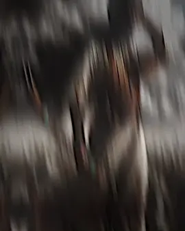 #تالك الافضل مصمم عندك #تشهدله صفين وبدر ما حاج اسولف خيبر #الامام_المهدي #الشعب_الصيني_ماله_حل😂😂 #تصميم_فيديوهات🎶🎤🎬تصميمي🔥 #الامام_العباس #الامام_علي_بن_ابي_طالب #الامام_الرضا_عليه_السلام #الامام_الكاظم_عليه_السلآم #الامام_الحسن_عليه_السلام #الامام_علي_بن_أبي_طالب_؏💙🔥 #الامام_العباس_عليه_السلام #تصميم_فيديوهات🎶🎤🎬 