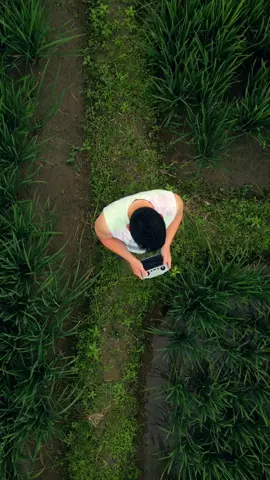Pull up #dji #djidrone #djidronevideo #djimini3pro #province #philippines 
