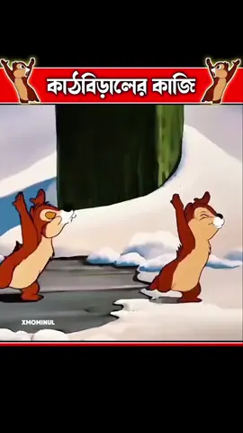 কাঠবিড়ালের কাজি 😂 #cartoon #animation #cartoonbangla #funnyvideo #funny #tiktok #foryopage #foryou #bdtiktokofficial #Arafatonfire 